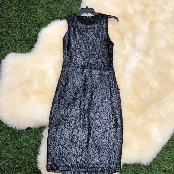 Parker Dresses & Skirts - Parker 'Hollow' Stretch Lace Sheath silver Dress